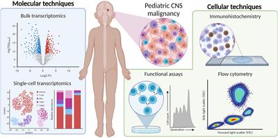 A Toolkit for Profiling the Immune Landscape of Pediatric Central Nervous System Malignancies